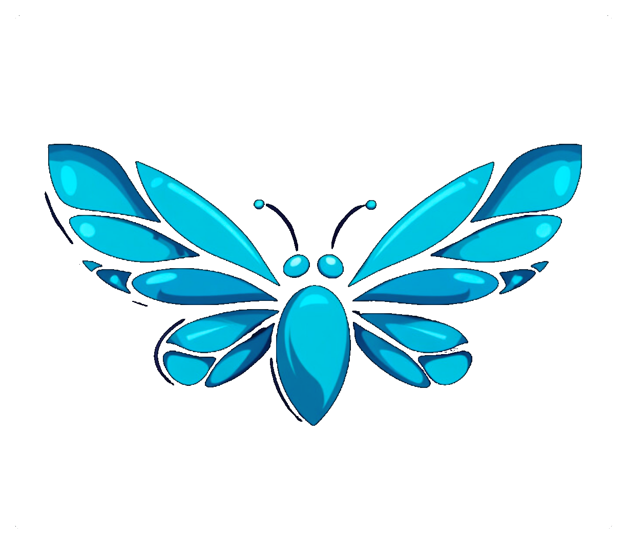 Bfly Cluster